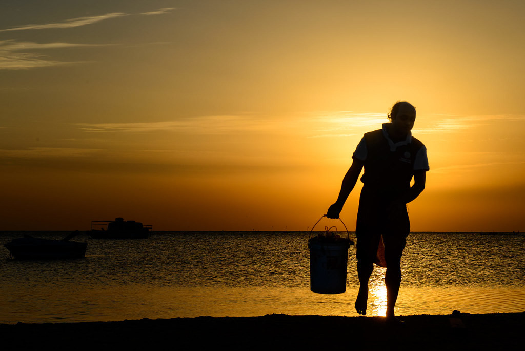 Shoreline Sunset Silhouette